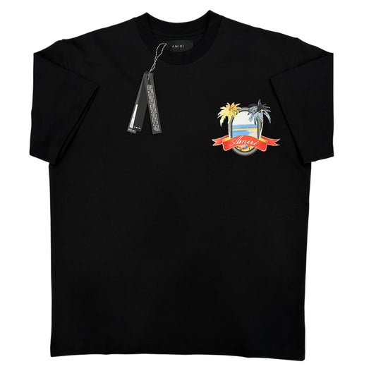 T-shirt Amiri 1238 (ss25)